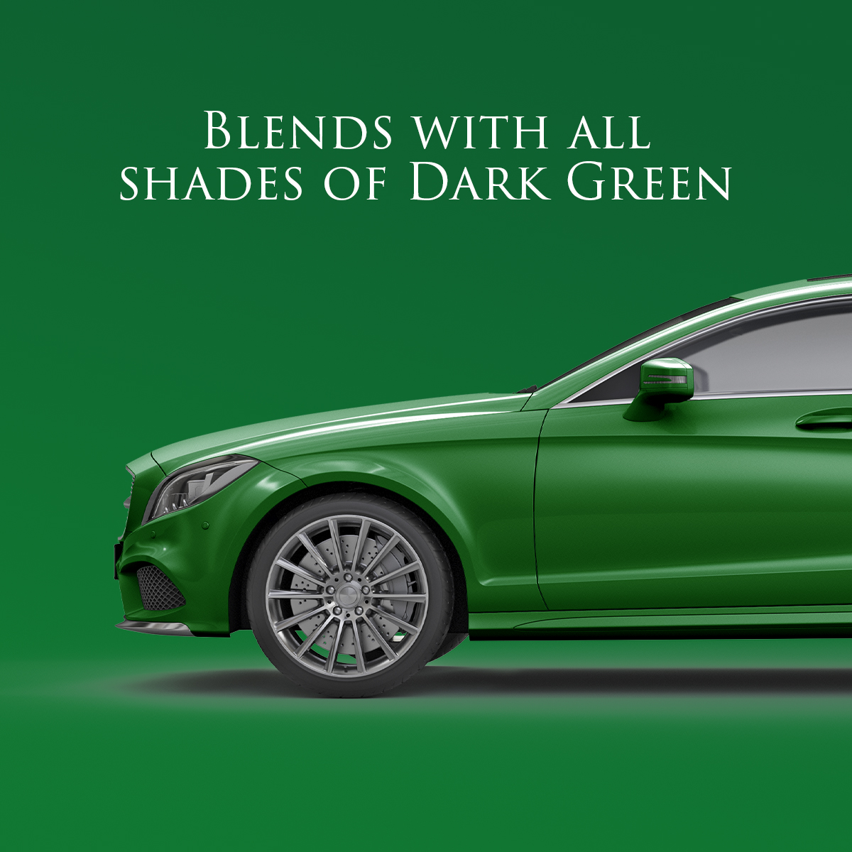 Blends with all shades of dark green