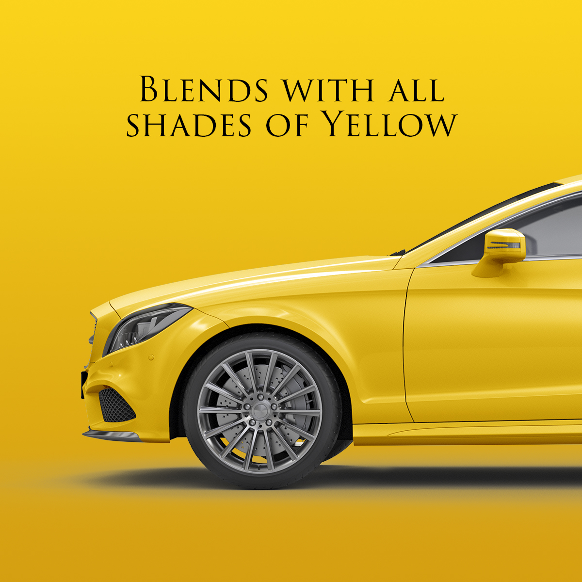 Blends with all shades of yellow