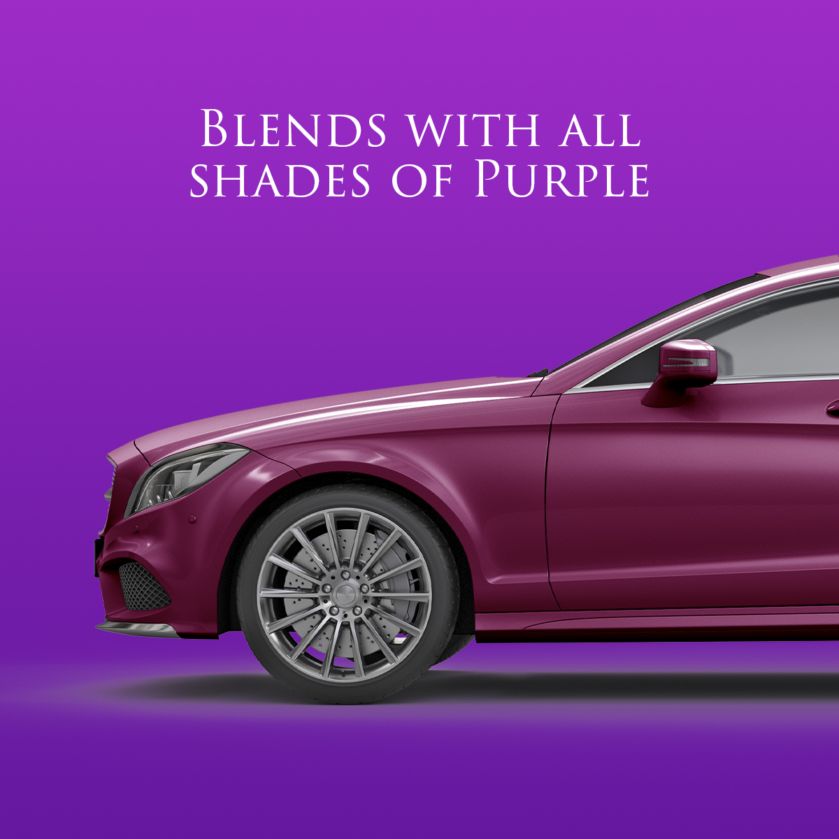 Blends with all shades of purple