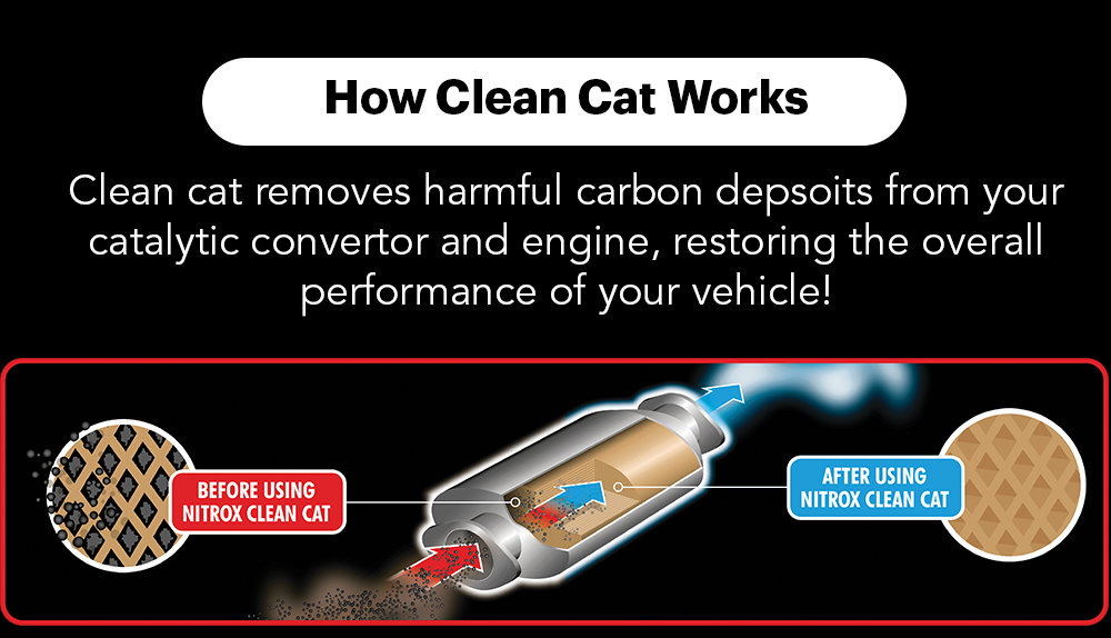 clean_cat_diagram